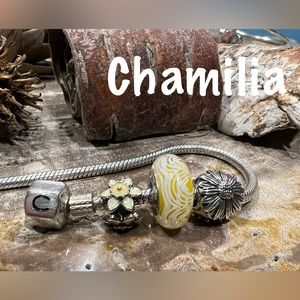 Chamilia muranos glass and silver charms for sale